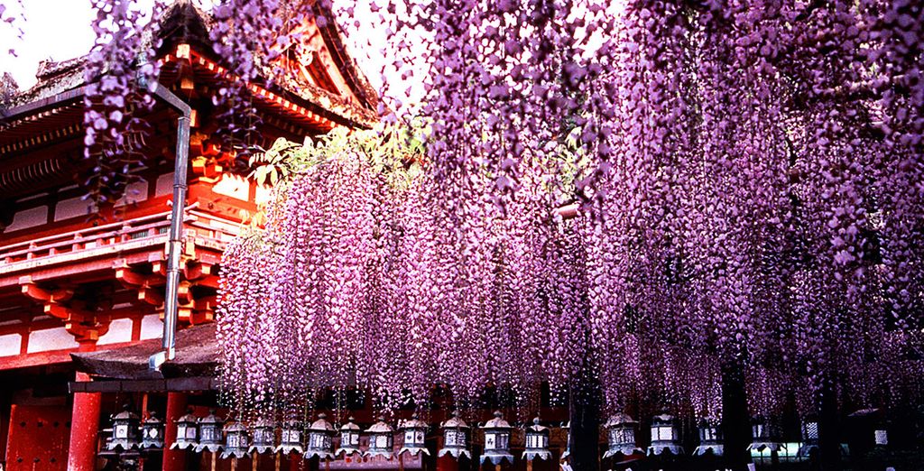 forum de rencontre japon