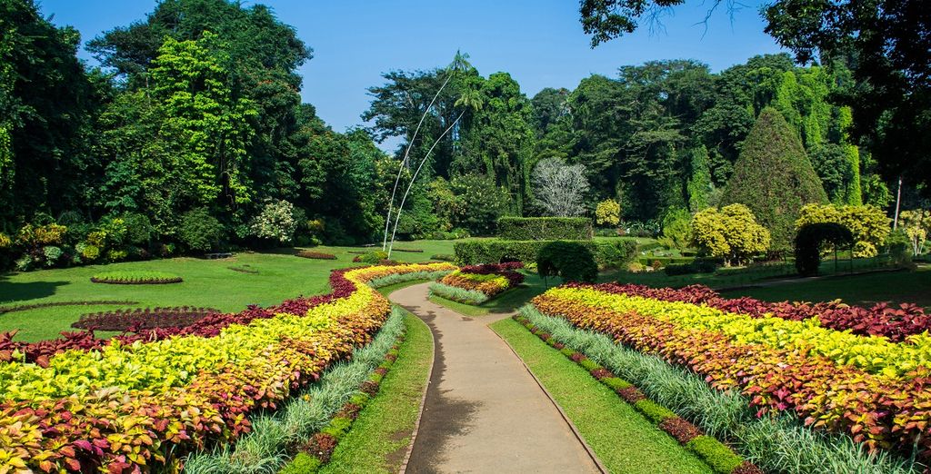 Rundreise Sri Lanka & Erweiterung in Avani Bentota