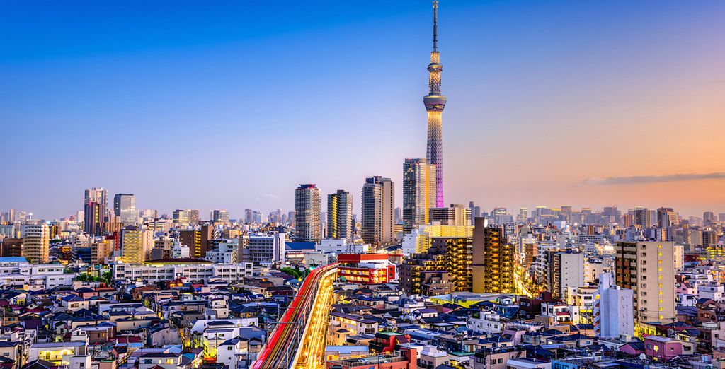 Stedentrip van 5 tot 11 nachten in Tokio