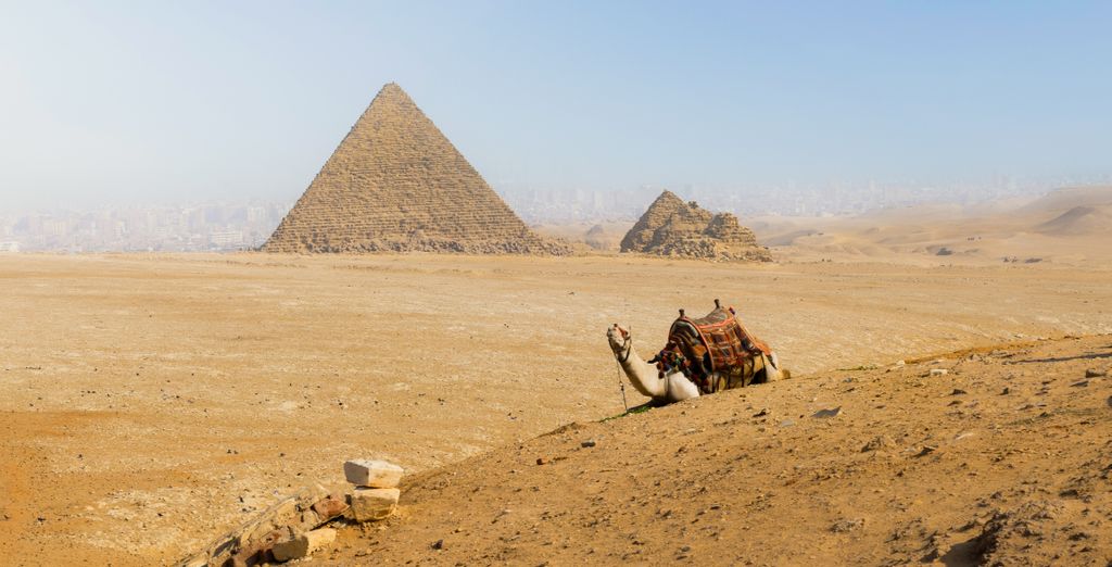 Avontuur van 5 tot 14 nachten in Egypte