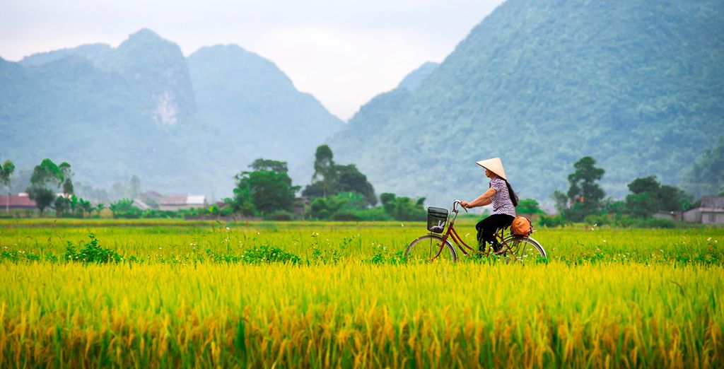 Ontdek Noord & Zuid Vietnam rondreis