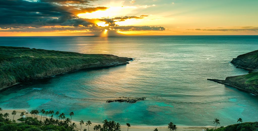 Vakantie in Hawaï