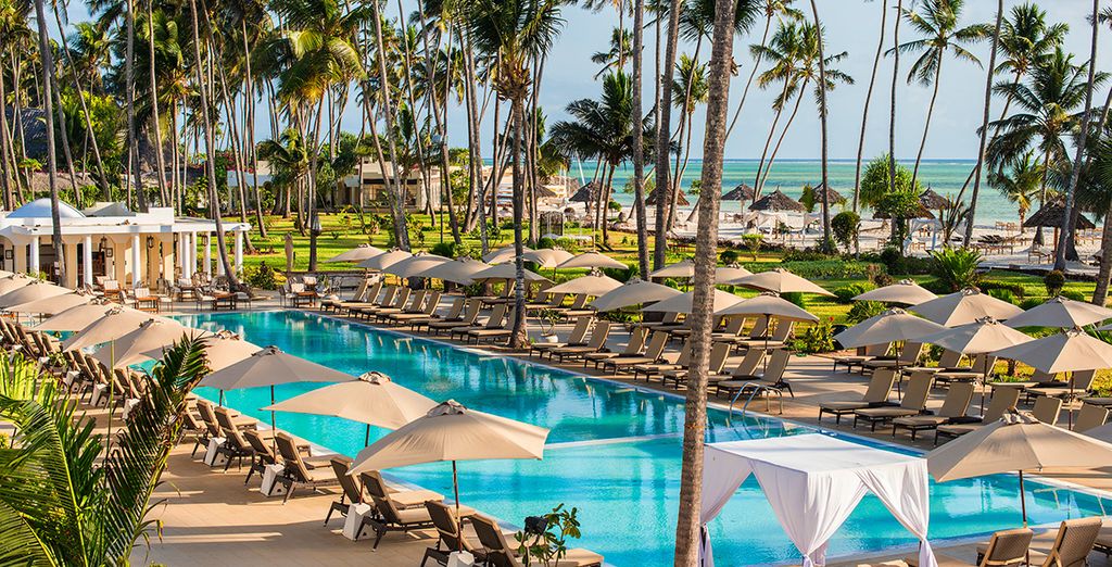 Diamonds Dream of Zanzibar