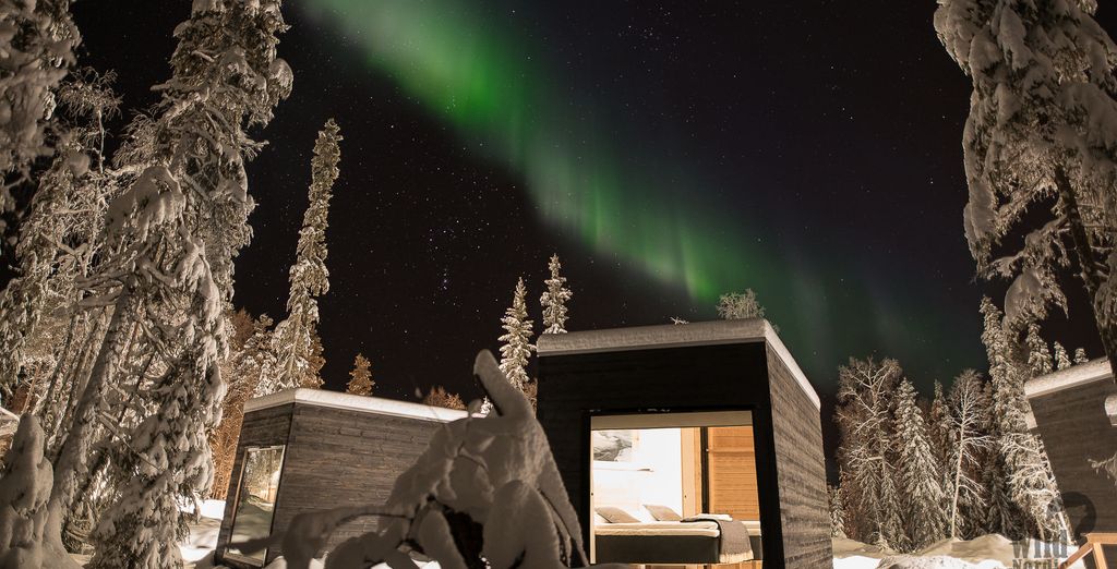 Vaattunki Wilderness Resort