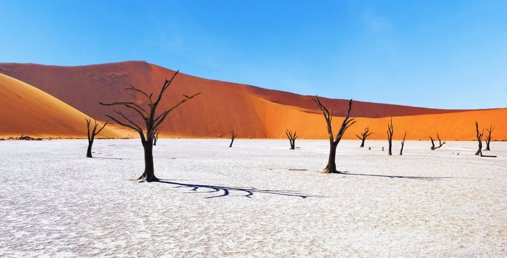 Private Rundreise: Authentisches Namibia mit Guide