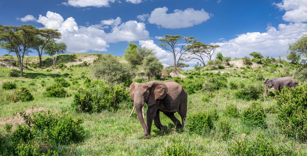 Private Safari: Wildes Tansania und The One Resort Zanzibar 4*