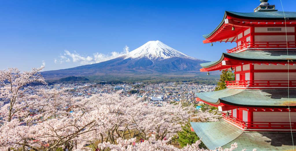 Highlights im Land der aufgehenden Sonne