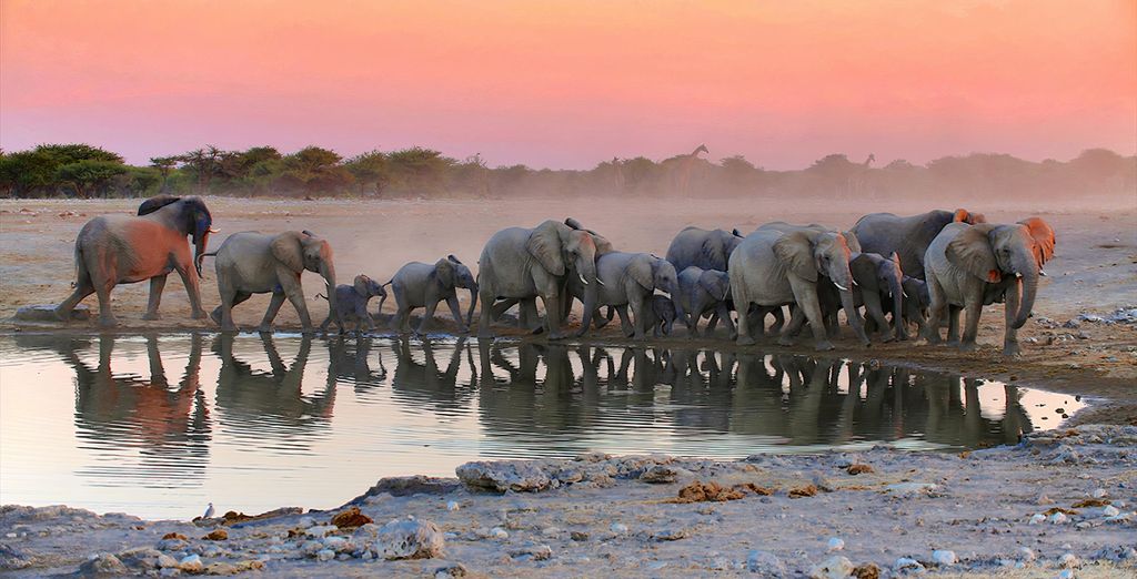 Zwischen W&uuml;stenpanoramen und wilder Tierwelt - Namibia