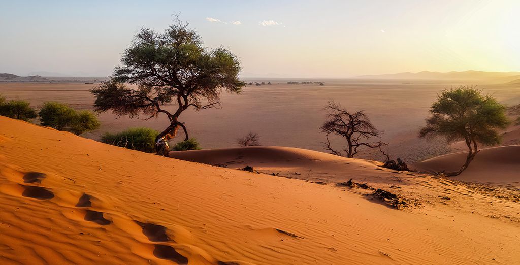 Autotour: Durch Namibia in 10 Nächten