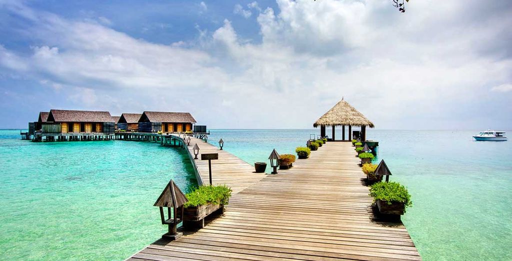 Hotel Gangehi Island Resort 5*
