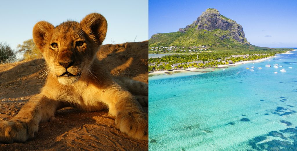 S&uuml;dafrika Tour und Inselparadies Mauritius - Johannesburg
