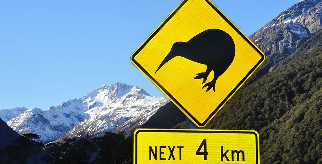 Buchen Sie Ihre Reise nach Neuseeland online
