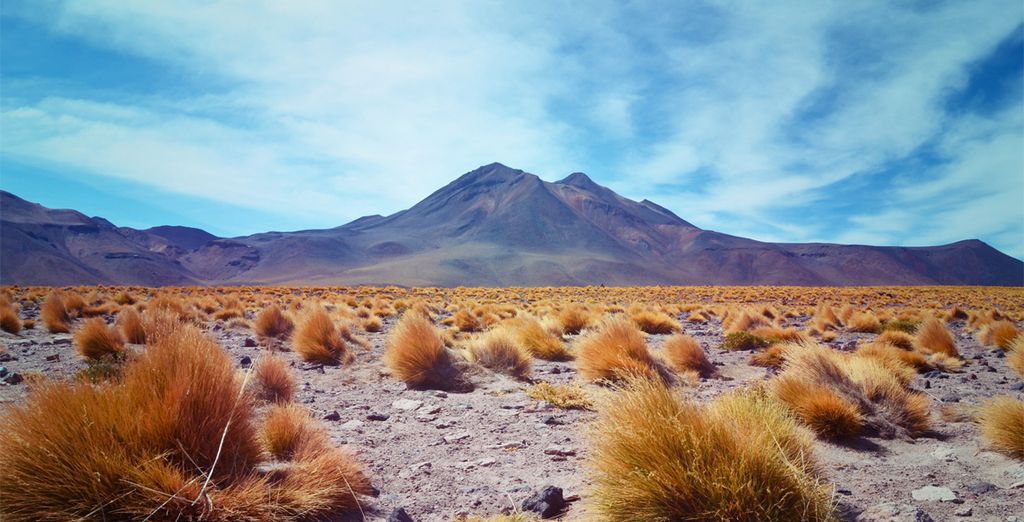Autotour entlang des Nordens von Chile - Valparaiso
