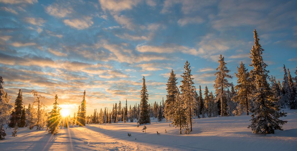 Nordlichter Barentssee Tour Rovaniemi Bis Zu 70 Voyage Priv 