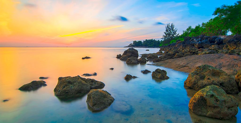 Navegando hacia Borneo