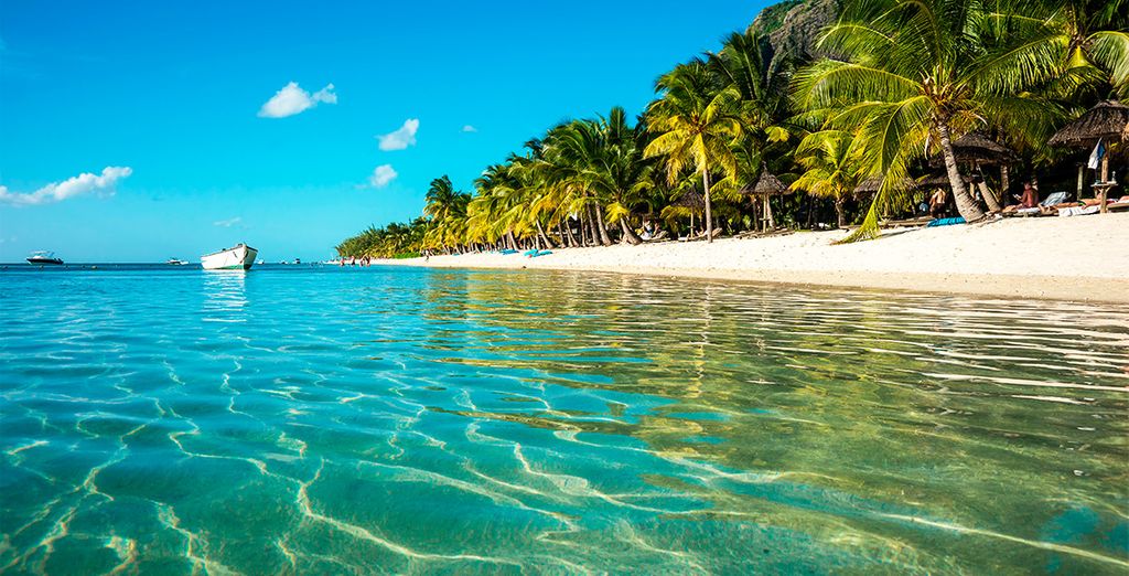 Sudáfrica con safari y The Westin Turtle Bay 5*