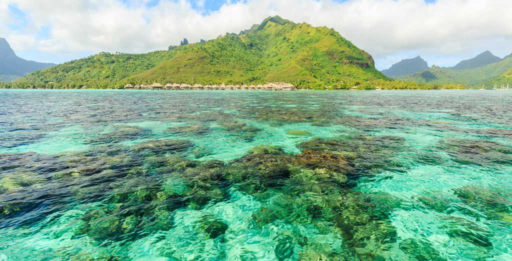 Combinado Manava Beach Resort & Spa Moorea 4* y Manava Suite Resort Tahiti 4*
