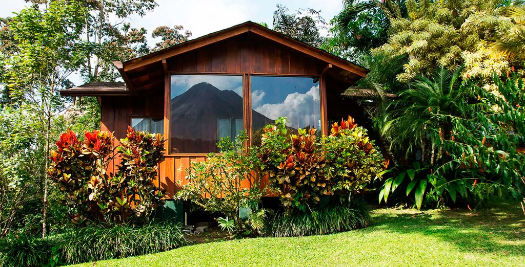 Naturalmente verde: San José, Tortuguero, Arenal...