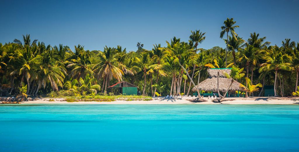 Viceroy New York 5* y Barceló Bávaro Beach 5*