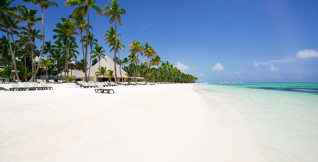 Viceroy New York 5* y Barceló Bávaro Beach 5*