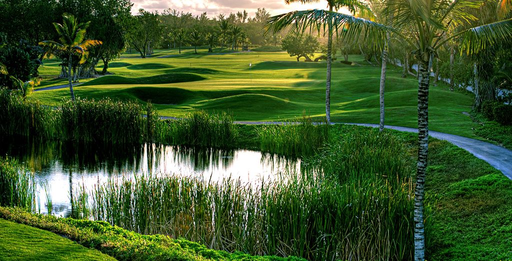 Viceroy New York 5* y Barceló Bávaro Beach 5*