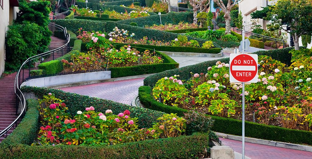 Hilton San Francisco Union Square 4* y Marina Del Rey Hotel 4*