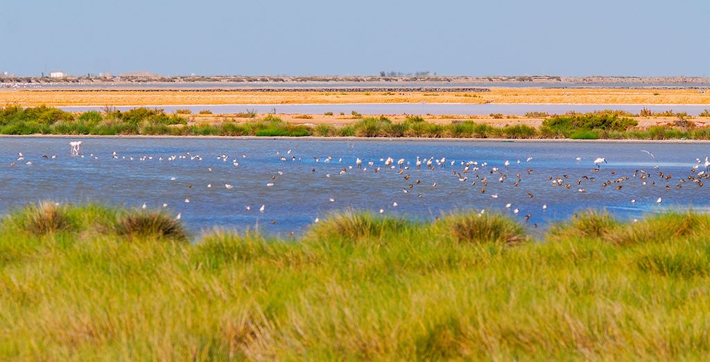 On Family Playa de Doñana 