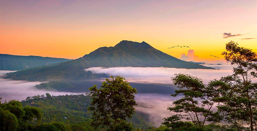 Combinado Kupu Kupu Jimbaran 5* y Jungle Retreat Ubud 5*