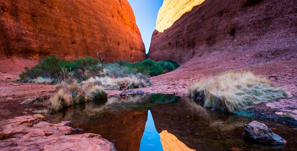 Explorando Australia con extensión opcional a Melbourne