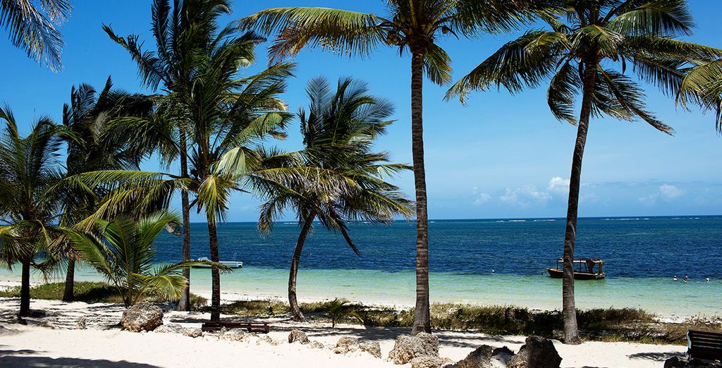 Safari en Kenia con Serena Beach Resort & Spa 5*