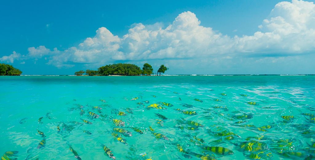 Bangkok, Triángulo de Oro y Krabi