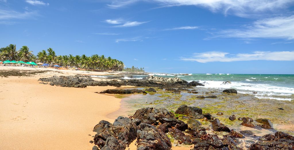 Combinado en Salvador, Praia do Forte y Río de Janeiro