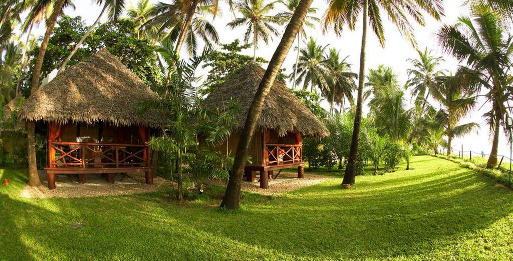 Descubre Kenia