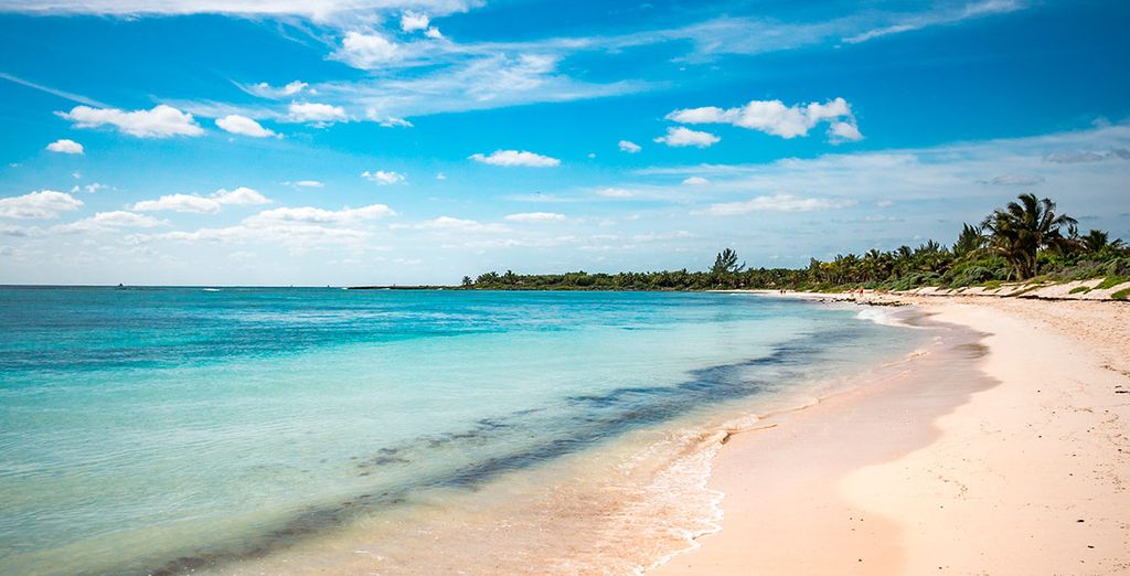 Tu alojamiento en La Habana y Barceló Maya Caribe 5*