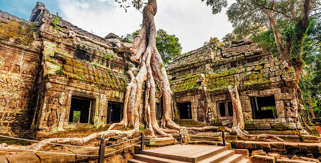 Vietnam Clásico con extensión a Siem Reap