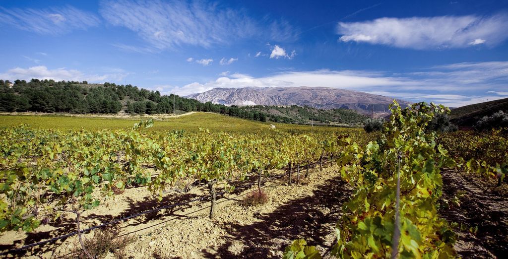 Hacienda Señorio de Nevada 4*