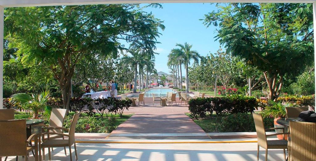 NH Capri  y  Hotel Playa Cayo Santa Maria 4*