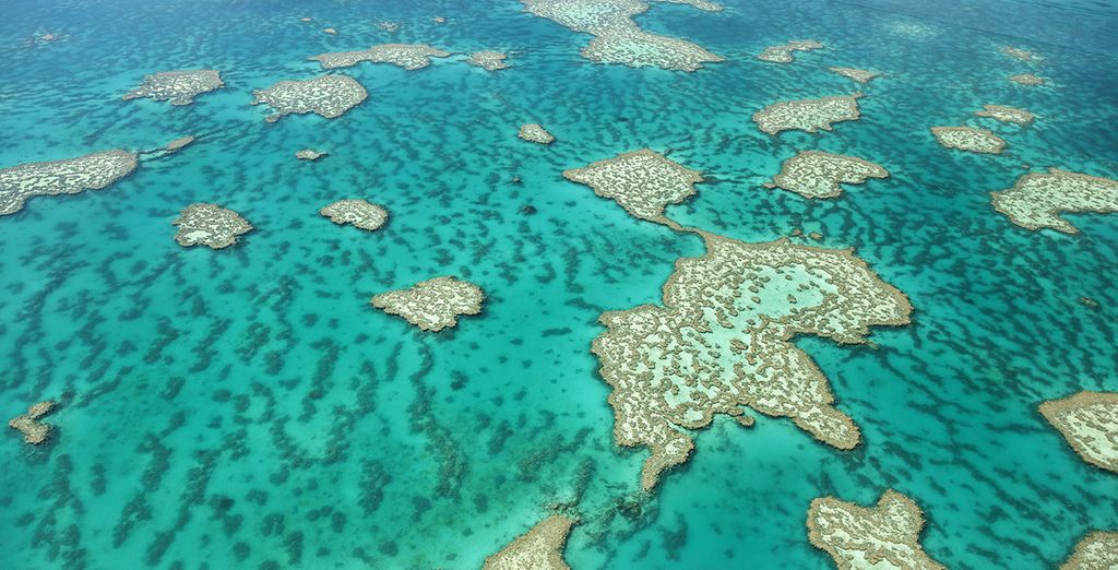 Ciudades, arrecife y selva tropical en Australia