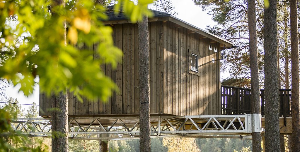 Estancia en Estocolmo y retiro en una cabaña en un árbol