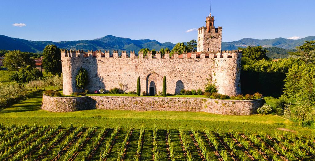 Autotour : à travers les vignes