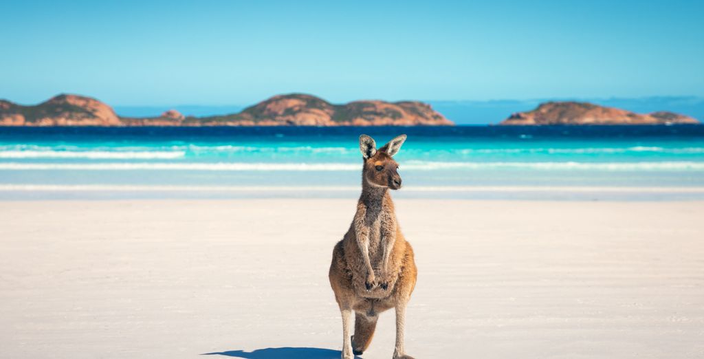 Lyall Hôtel & Spa 5*