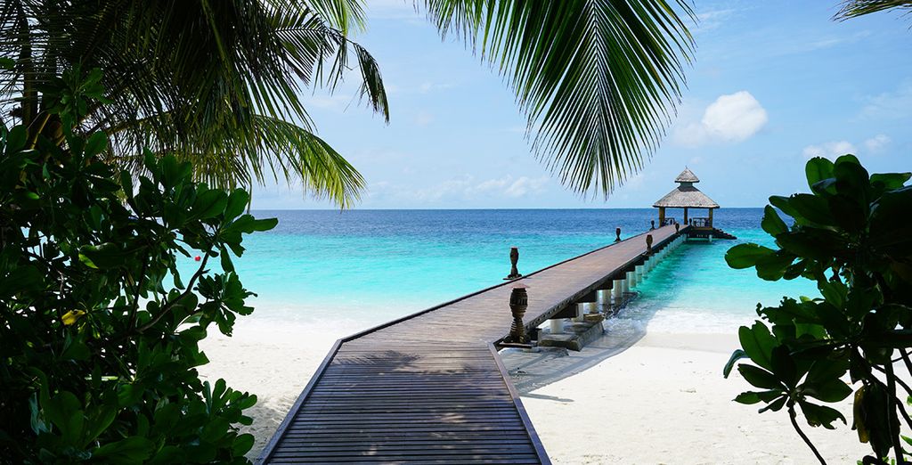 Circuit Découverte de Ceylan et séjour balnéaire aux Maldives - Colombo ...