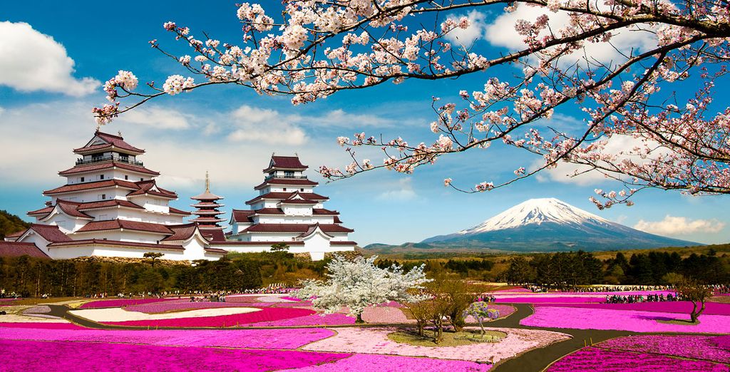 Le Japon avec Voyage Prive