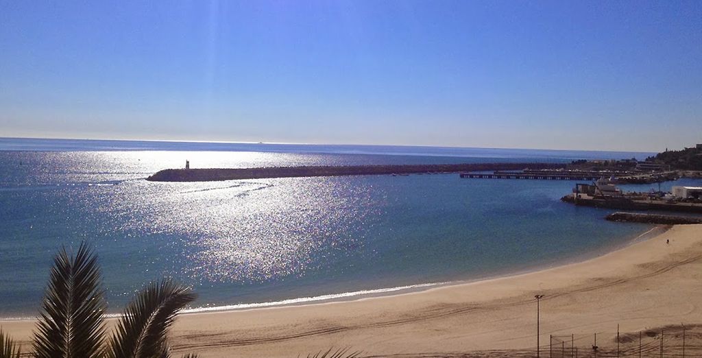 Paysages spectaculaires de São Jorge