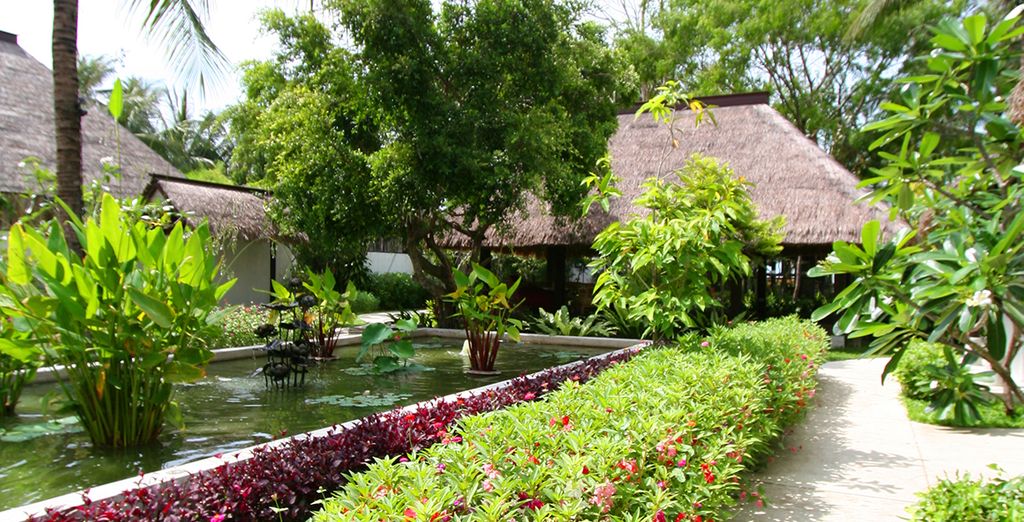  Mimosa Resort & Spa 4*
