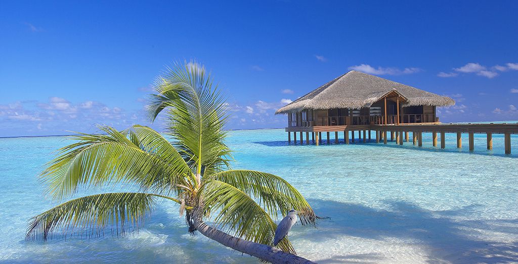 Hôtel Medhufushi Island Resort 5*