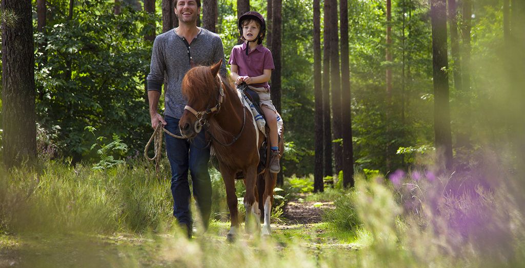 Center Parcs Domaine du Bois aux Daims