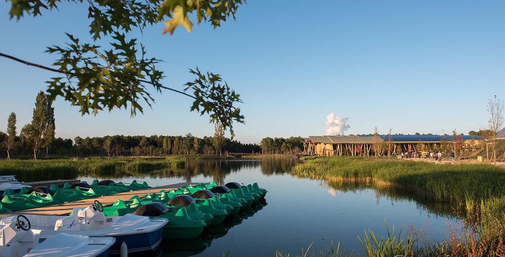 Center Parcs Domaine du Bois aux Daims