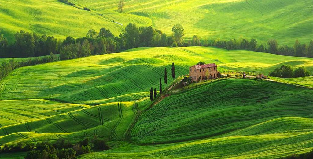 Tour - les Mille couleurs de la Toscane en 4*