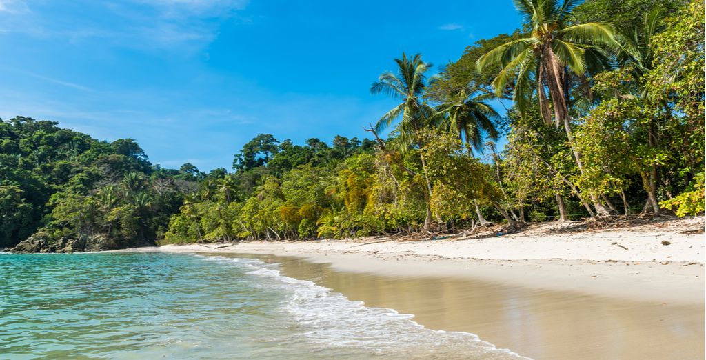 Autotour Le meilleur du Costa Rica des Caraïbes au Pacifique en 10, 12 ou  14 nuits - San Jose - Jusqu'à -70% | Voyage Privé